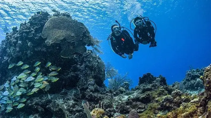 PADI Discover Scuba Diving Program