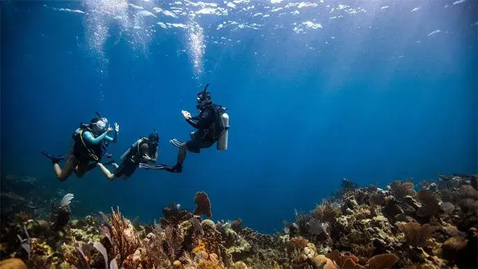 PADI Scuba Diver